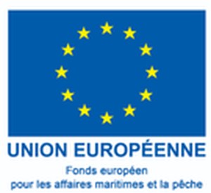 Union européenne